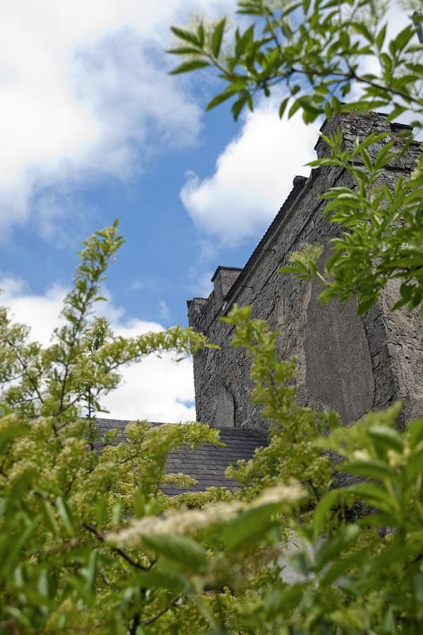 Отель Finnstown Castle Hotel Лукан-26